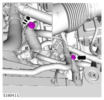 G11601184