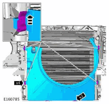 G11601254