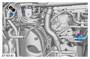 G11601458
