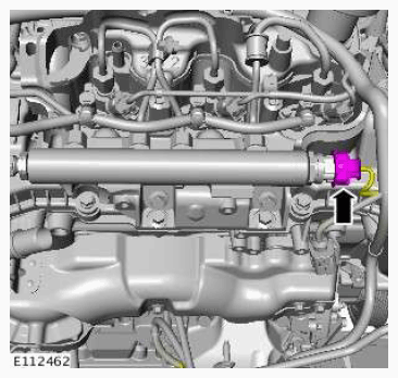 G11601496