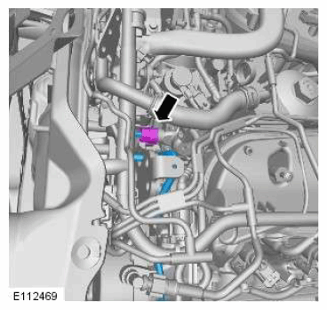 G11601506