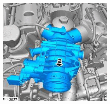 G11601554