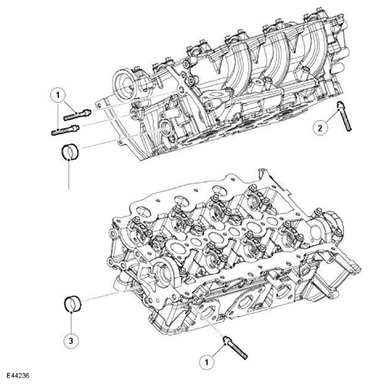 G11601706