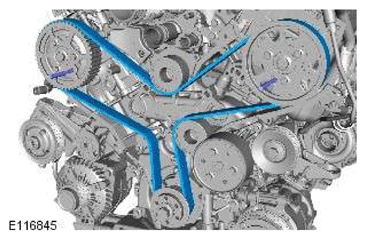 G11601813