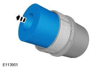 G11602091