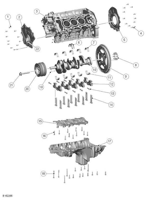 G11606531