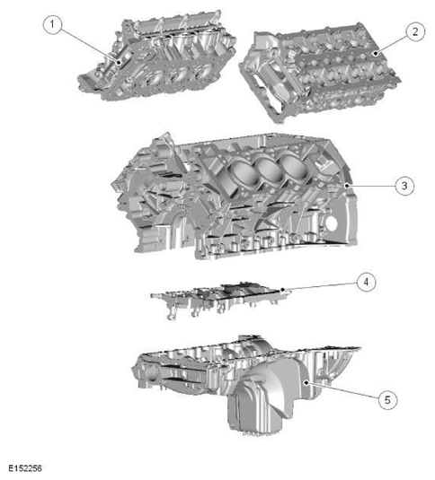 G11606532