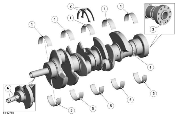 G11606536