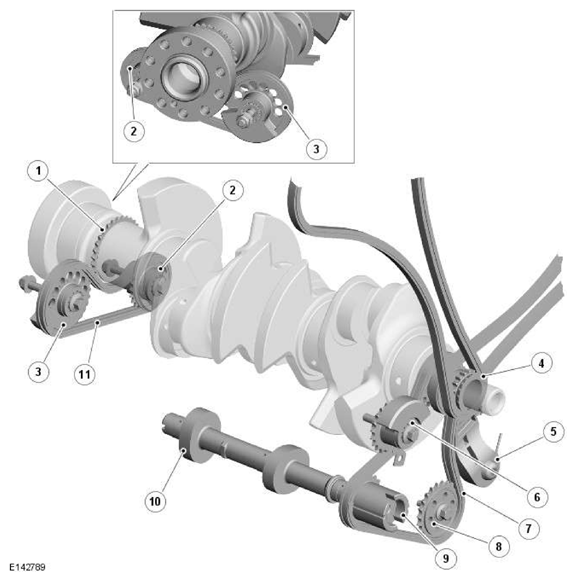 G11606544