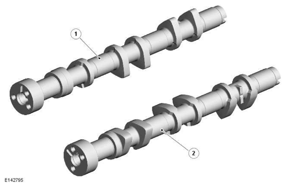 G11606550