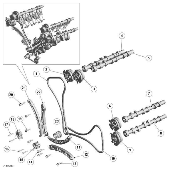 G11606551