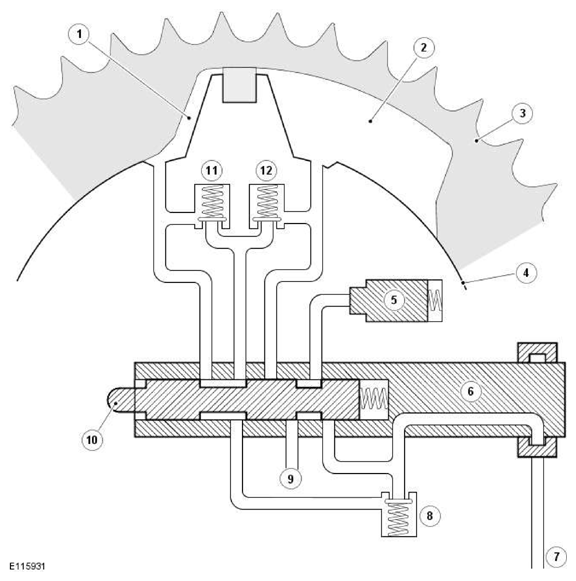 G11606556