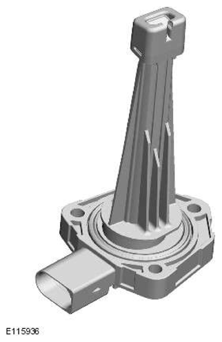 G11606564