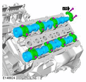 G11606648