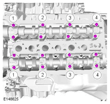 G11606650