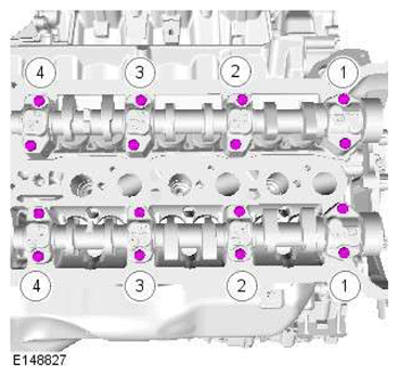 G11606655