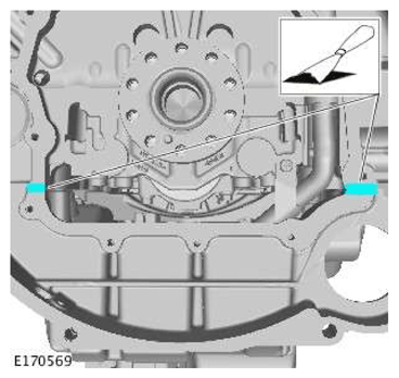 G11606667
