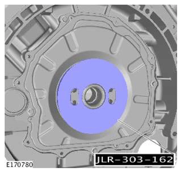 G11606676