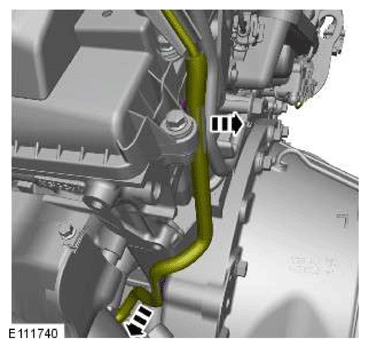 G11606683