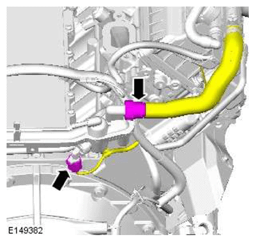 G11606684