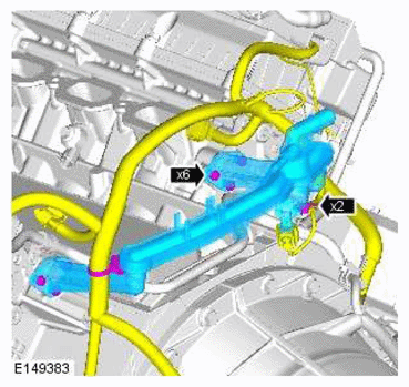 G11606685