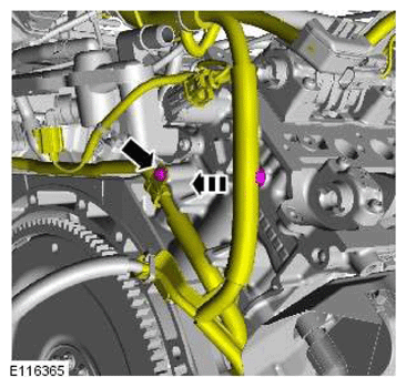 G11606711