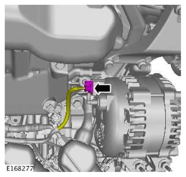 G11606898