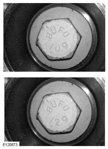 G11606905
