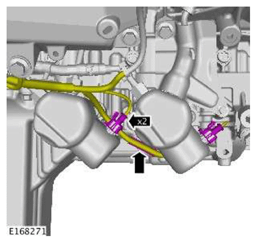 G11606929
