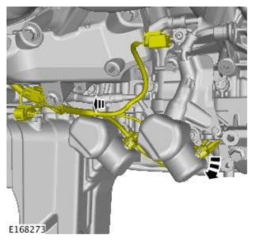 G11606932