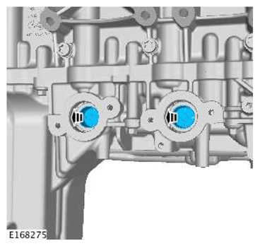 G11606940