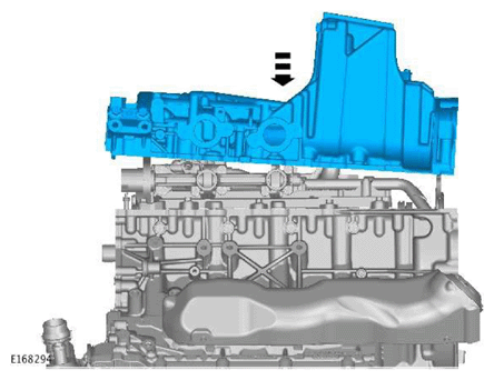 G11606955