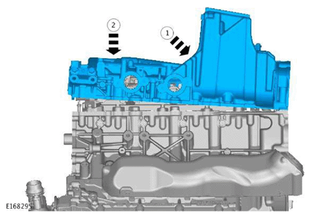 G11606956