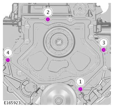 G11606962