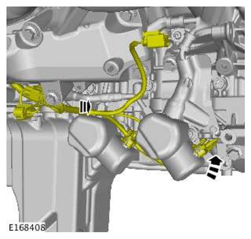 G11606978