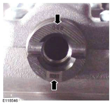 G11607077