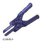 G11607194