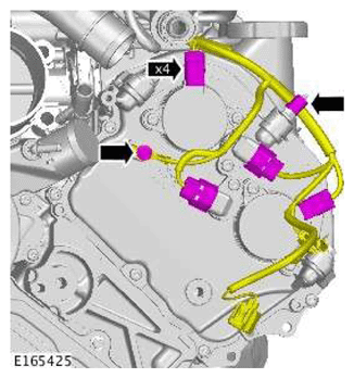 G11607206