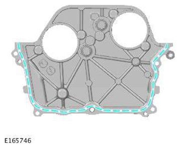 G11607256