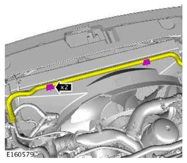 G11607323