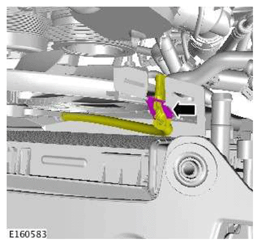 G11607327