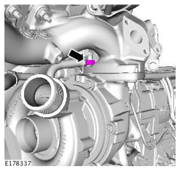 G11607458
