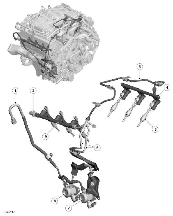 G11607516