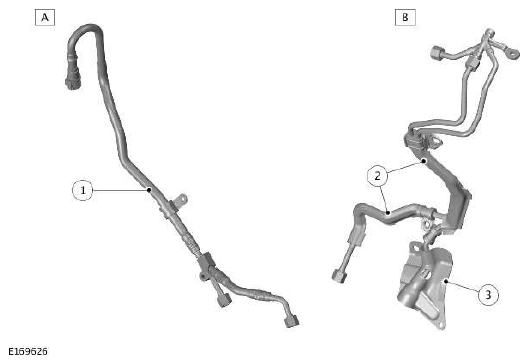 G11607517