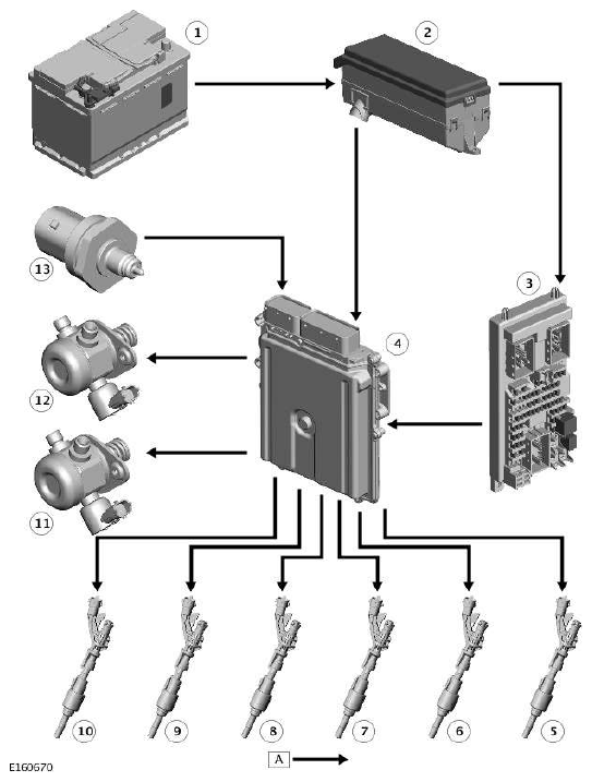 G11607523