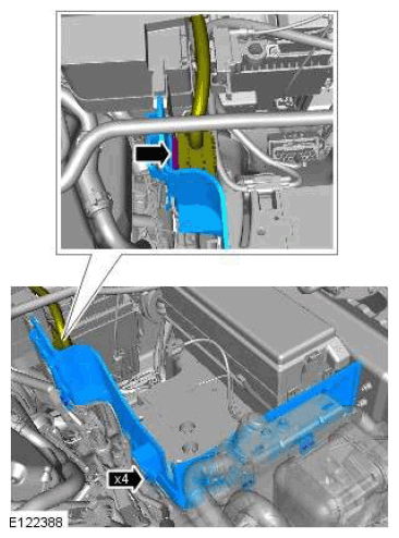 G11607539