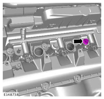 G11607562