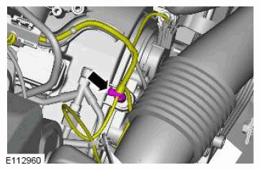 G11607603
