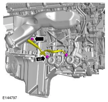 G11607689