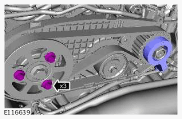 G11607833